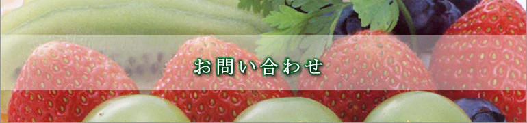 �����塼���βۻ�Ź���䤤��碌