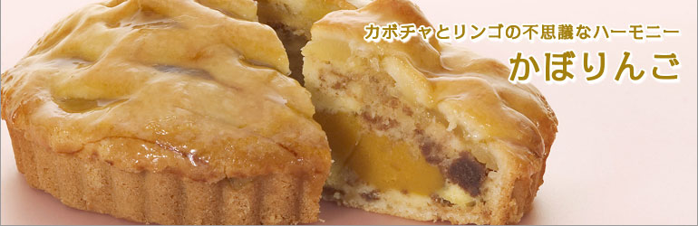 ���ܥ���ȥ�󥴤Υѥ������ܤ��