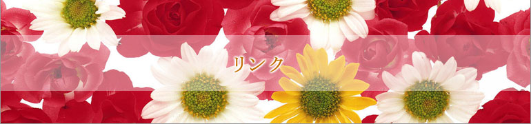 �Ҥ褳�Τ��Ҥ�ͥץ�����󥯽�